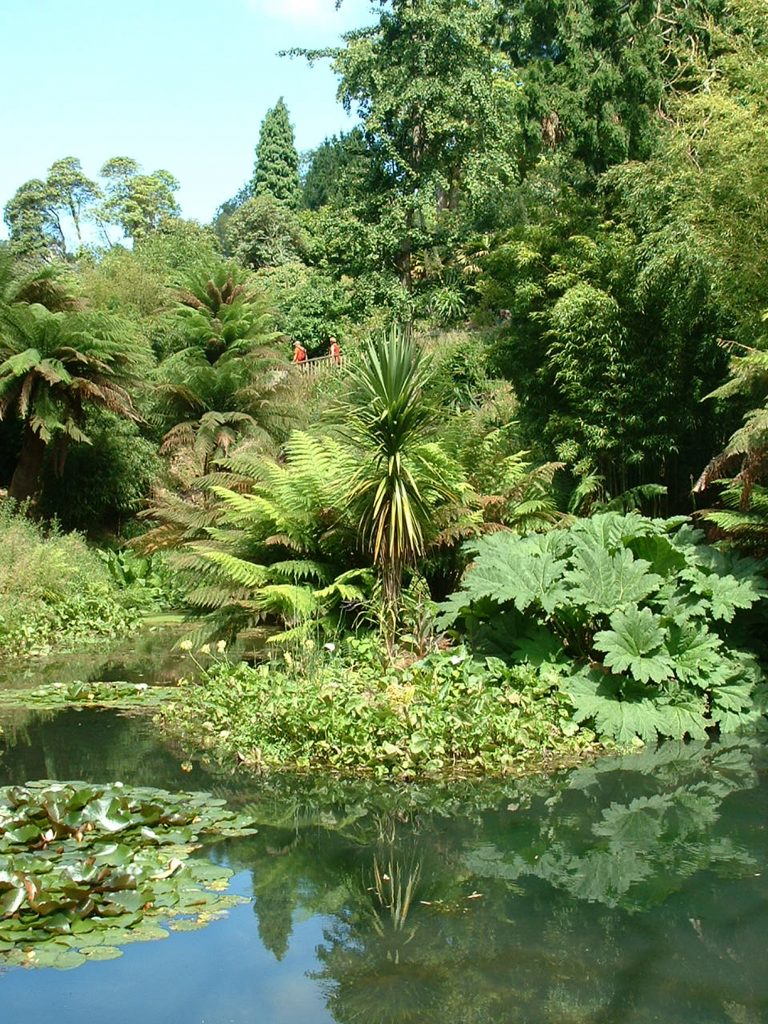 Cycle to Heligan Gardens