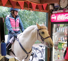 Horse and rider looking at our refreshments in our cycle hire centre