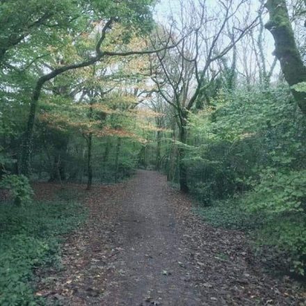 Cycle routes near me in Cornwall