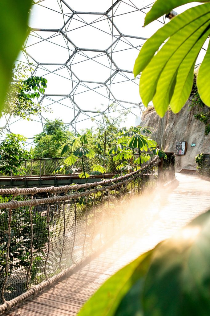 Bike Hire for the Eden Project